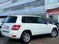 Mercedes-Benz GLK 220 BlueEfficiency 4Matic*AUTOMATIK*AHK* Weiß - thumbnail 15