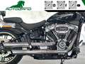 Harley-Davidson Lowrider ST Ottime Condizioni*Finanziabile Nero - thumbnail 8