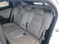 Honda Civic 1.8 i-VTEC Sport Navi Aut. Blanco - thumbnail 29