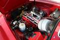 Volvo P1800 JENSEN - Unique condition - Nut & Bolt restored Rouge - thumbnail 25