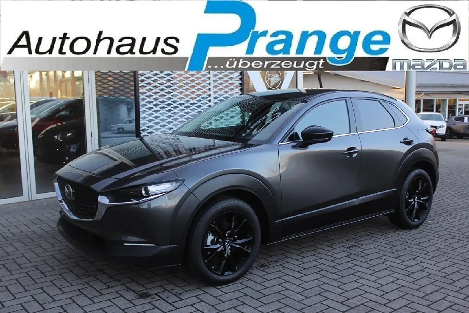Mazda CX-30 2025 M-Hybrid Homura X-186 *Dezember-Aktion* NAVI Grau - 1