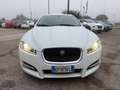 Jaguar XF Sportbrake 2.2 D 200 CV Prem. Luxury - thumbnail 4