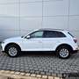 Audi Q5 40 TDI quattro S-Tronic AHK*Navi*Viritual*Kam Blanc - thumbnail 4