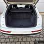 Audi Q5 40 TDI quattro S-Tronic AHK*Navi*Viritual*Kam Blanc - thumbnail 10