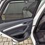 Audi Q5 40 TDI quattro S-Tronic AHK*Navi*Viritual*Kam Blanc - thumbnail 18