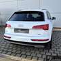 Audi Q5 40 TDI quattro S-Tronic AHK*Navi*Viritual*Kam Blanc - thumbnail 5