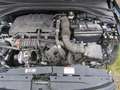 Kia Ceed Sportswagon Edition 7 Grau - thumbnail 14