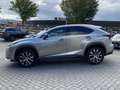 Lexus NX 300h AWD F Sport Line LEDER EL-ACHTERKLEP EL-STOEL STOE Grijs - thumbnail 6