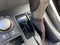 Lexus NX 300h AWD F Sport Line LEDER EL-ACHTERKLEP EL-STOEL STOE Grijs - thumbnail 24
