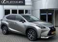 Lexus NX 300h AWD F Sport Line LEDER EL-ACHTERKLEP EL-STOEL STOE Grijs - thumbnail 1