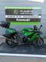 Kawasaki Ninja 1000SX Vert - thumbnail 1