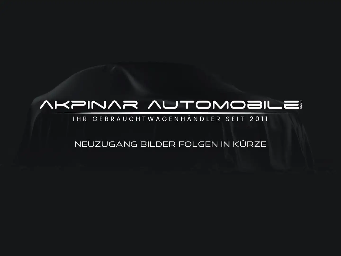 BMW 730 d xDrive Aut. MASSAGE - ACC - SCHIEBEDACH Grau - 1