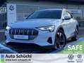 Audi e-tron 50 Quattro Sportback 20"+NAVI+LED+CCS+VIR Weiß - thumbnail 1