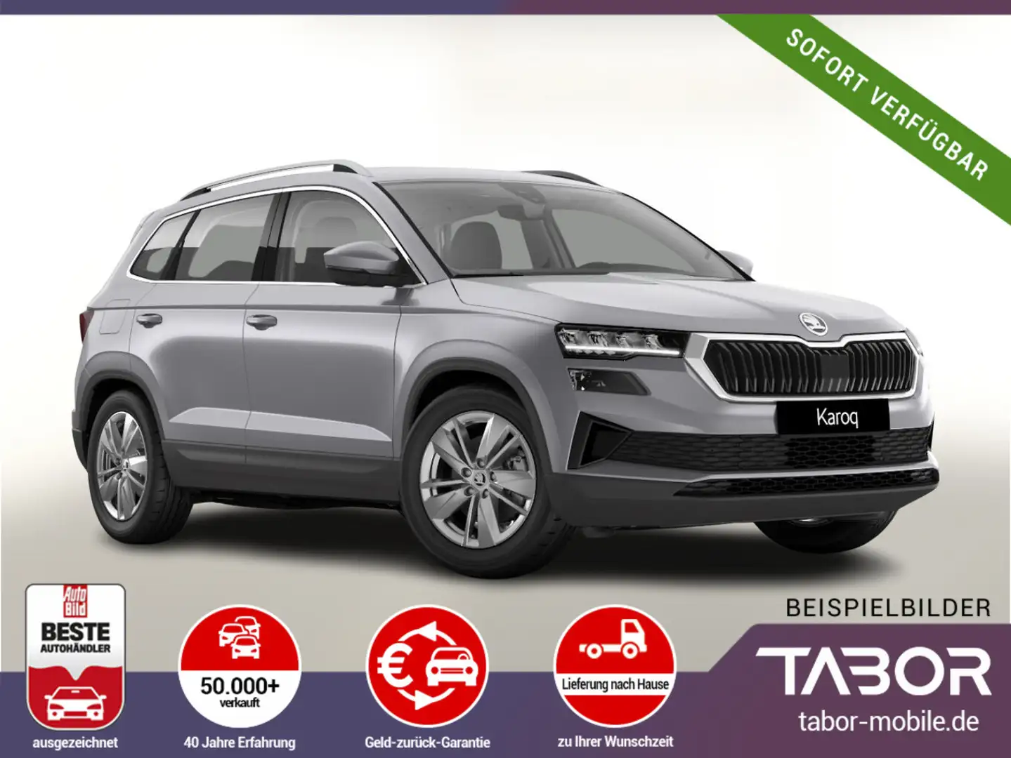 Skoda Karoq TSI DSG Selec LED Nav Kam SHZ SunS Kessy Silber - 2