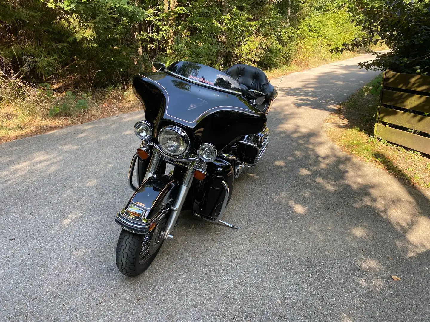 Harley-Davidson Electra Glide Negru - 2