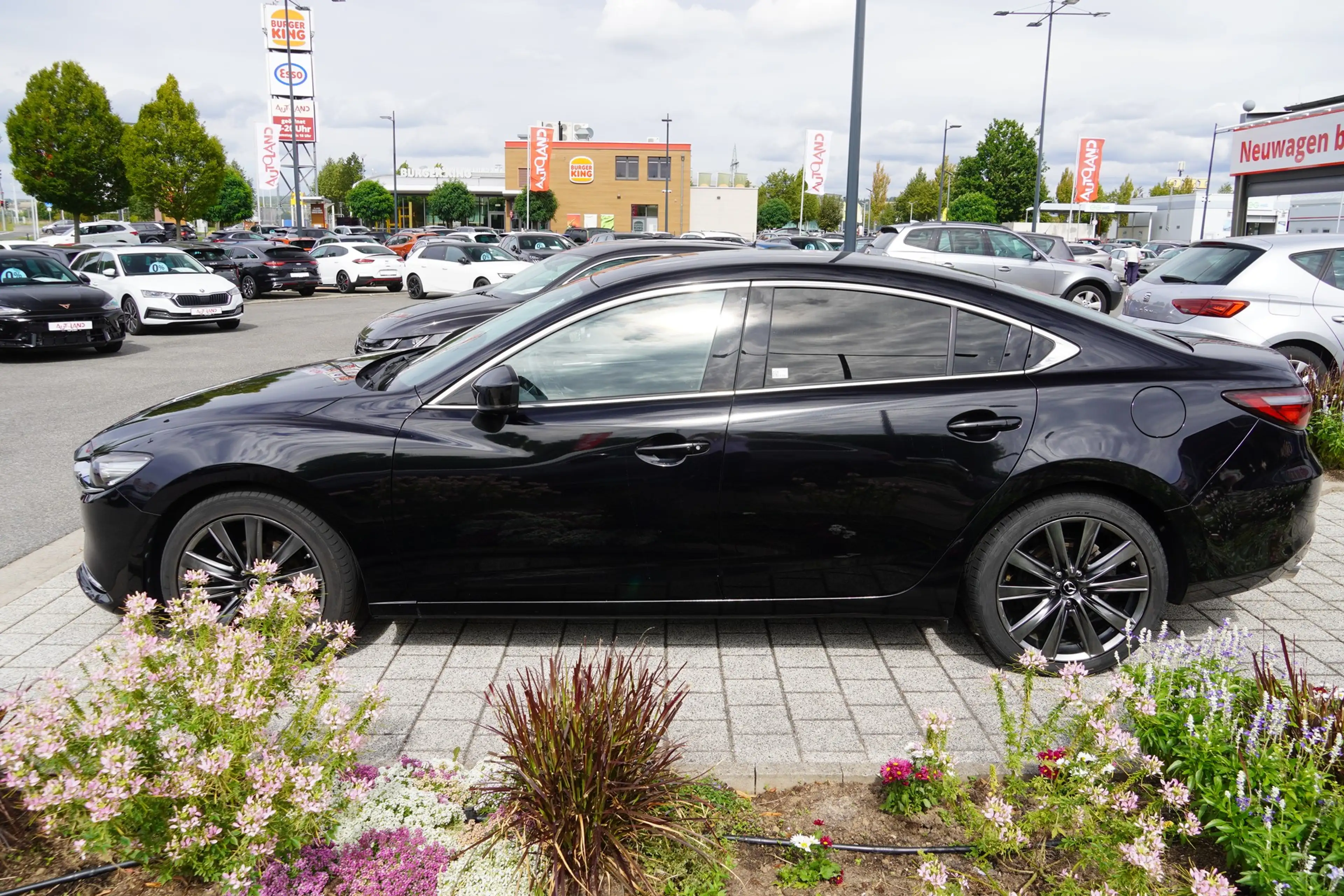 Mazda 6 2.5 Sports-Line LED Klimaaut. Navi 360° ACC — photo 6