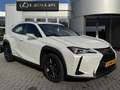 Lexus UX 250h Luxury Line LEDER STOELVERW CAMERA NAVI KEYLESS DO Blanc - thumbnail 9