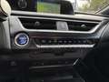 Lexus UX 250h Luxury Line LEDER STOELVERW CAMERA NAVI KEYLESS DO Blanc - thumbnail 28