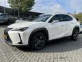 Lexus UX 250h Luxury Line LEDER STOELVERW CAMERA NAVI KEYLESS DO Blanc - thumbnail 7