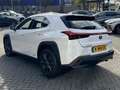 Lexus UX 250h Luxury Line LEDER STOELVERW CAMERA NAVI KEYLESS DO Blanc - thumbnail 5