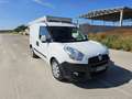 Fiat Doblo Doblò 1.6 MJT 105CV PC-TN Cargo Biały - thumbnail 3
