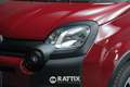 Fiat Panda 1.0 Firefly Hybrid 70CV Cross 5p.ti Rouge - thumbnail 2