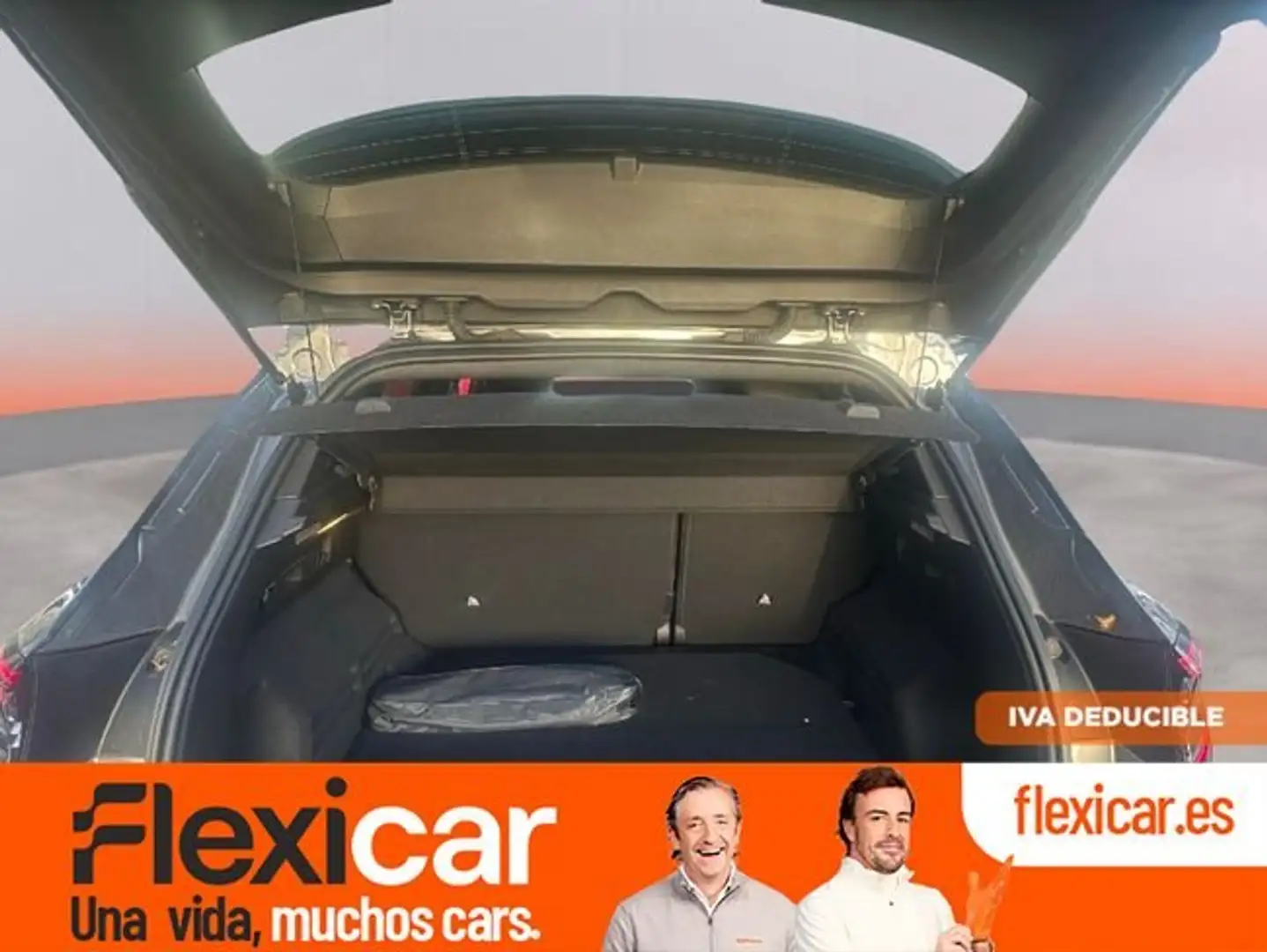 Renault Austral Evolution Mild Hybrid 116kW Auto Gris - 1