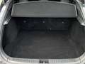 Tesla Model S Performance 100D Panorama 21 Zoll Grau - thumbnail 10