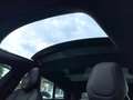 Tesla Model S Performance 100D Panorama 21 Zoll Grau - thumbnail 22
