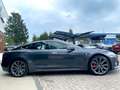 Tesla Model S Performance 100D Panorama 21 Zoll Grau - thumbnail 9