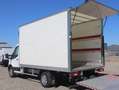 Ford Transit Transit Ladebordwand/€ 24.900,-netto/Koffer TEL Weiß - thumbnail 10