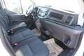 Ford Transit Transit Ladebordwand/€ 24.900,-netto/Koffer TEL Weiß - thumbnail 17