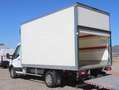 Ford Transit Transit Ladebordwand/€ 24.900,-netto/Koffer TEL Weiß - thumbnail 9