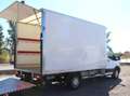 Ford Transit Transit Ladebordwand/€ 24.900,-netto/Koffer TEL Weiß - thumbnail 8