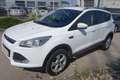 Ford Kuga 1,5 EcoBoost Trend***1.Besitz/ AHK/Pickerl neu*** Weiß - thumbnail 3