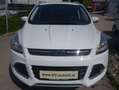 Ford Kuga 1,5 EcoBoost Trend***1.Besitz/ AHK/Pickerl neu*** Weiß - thumbnail 2
