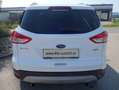 Ford Kuga 1,5 EcoBoost Trend***1.Besitz/ AHK/Pickerl neu*** Weiß - thumbnail 6