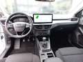 Ford Focus 125PS Benzin/Schaltgetriebe 1,0 EcoBoost Titani... Weiß - thumbnail 17