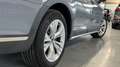 Volkswagen Passat Alltrack Alltrack 4Motion TDI AHK, LED, ACC, Kamera Grau - thumbnail 31