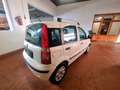 Fiat Panda Panda II 2003 1.2 Emotion 69cv E5 Wit - thumbnail 6