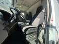 Iveco Daily 2.3 hpi 35S13 E5 - PREZZO + IVA!!!! Blanco - thumbnail 14
