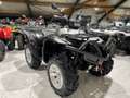 Yamaha Grizzly 700 EPS  25 th anniversary Grey - thumbnail 6