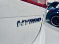 Volkswagen Touareg 3.0TSI Hybrid Blanco - thumbnail 19
