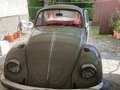 Volkswagen Maggiolino Pelle rifatta a nuovo Бежевий - thumbnail 3