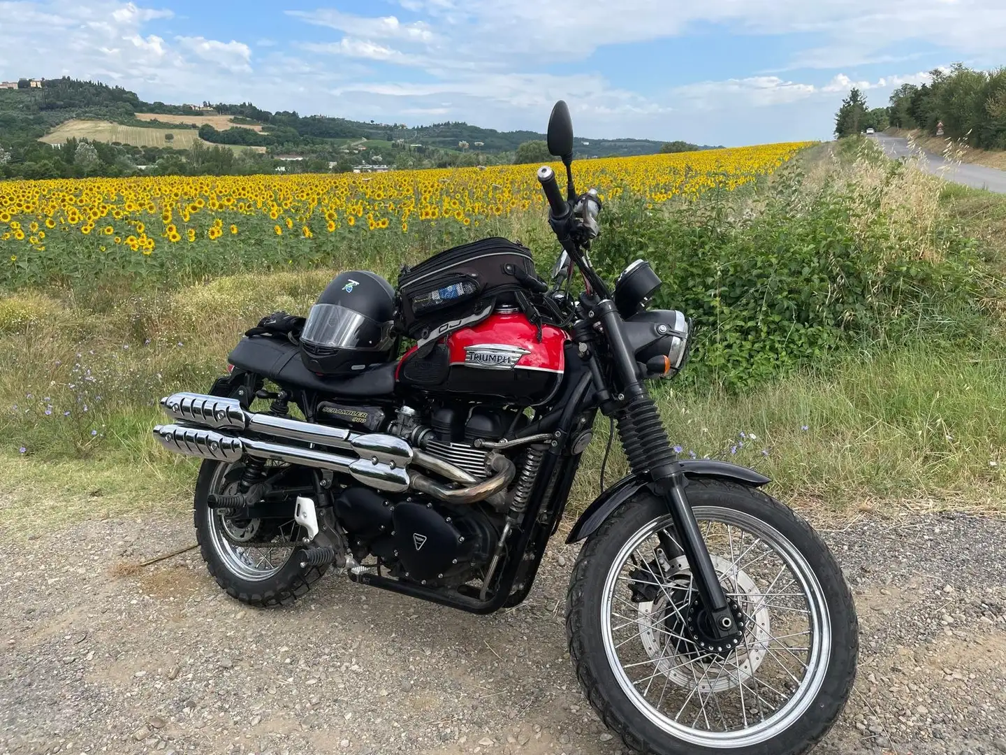 Triumph Scrambler - 1
