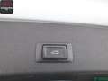 Audi SQ5 SQ5 3.0 TDI V6 qu ABT SPORT STANDHZ,BANG+O,ACC Blanco - thumbnail 26