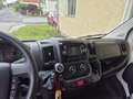 Citroen Jumper Luxus-Bus 2,5 TD Weiß - thumbnail 3