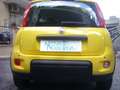 Fiat Panda 1.0 FireFly S&S Hybrid Pandina Urban Radio Giallo - thumbnail 13