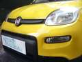 Fiat Panda 1.0 FireFly S&S Hybrid Pandina Urban Radio Giallo - thumbnail 4