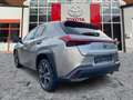 Lexus UX 250h ACC*KAM*DAB*SHZ*LenkradHz*KeyLess Silber - thumbnail 4